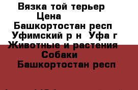 Вязка той терьер  › Цена ­ 1 500 - Башкортостан респ., Уфимский р-н, Уфа г. Животные и растения » Собаки   . Башкортостан респ.